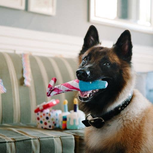 Birthday Party Horn - Mini