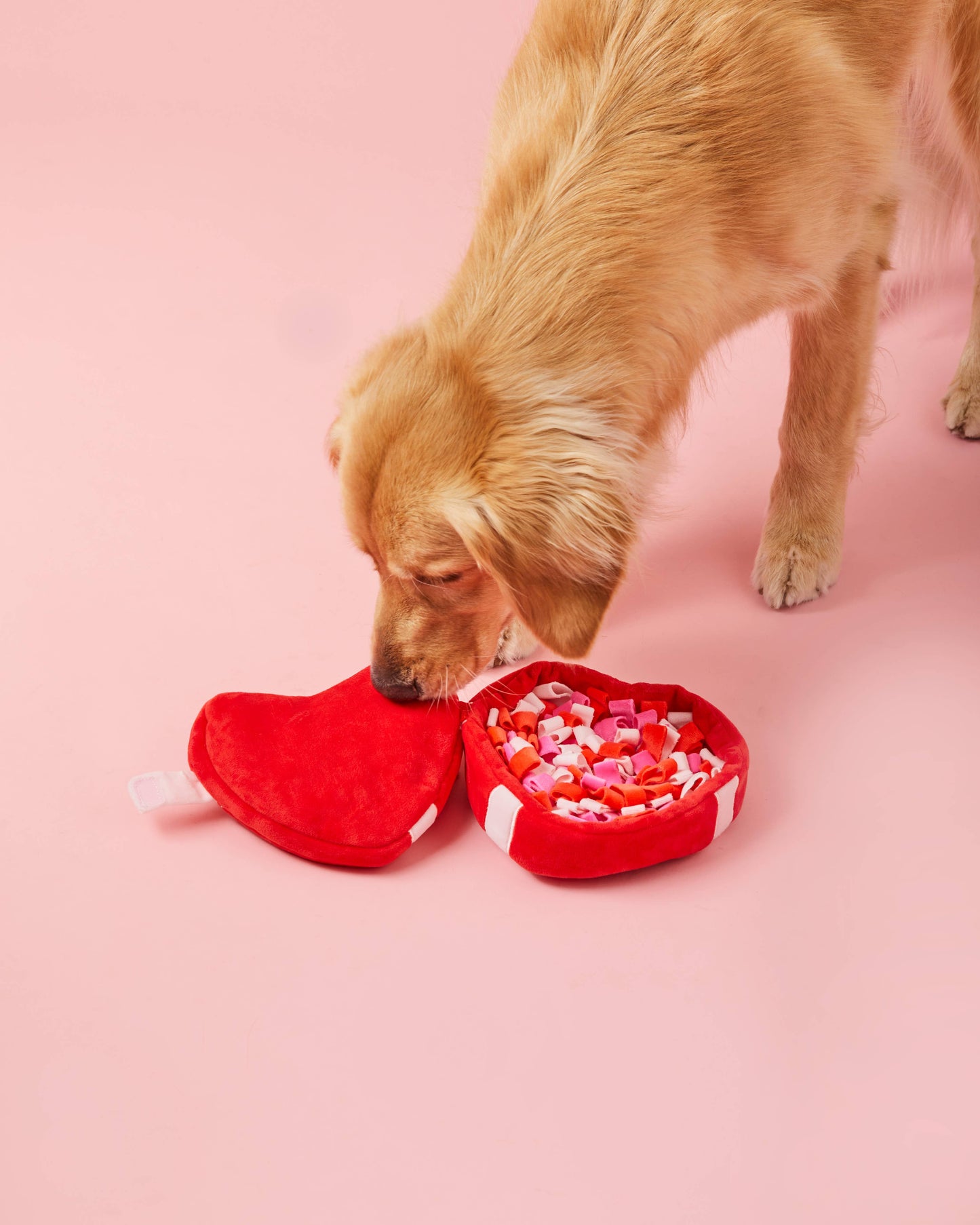 Be My Valentine Interactive Snuffle Dog Toy