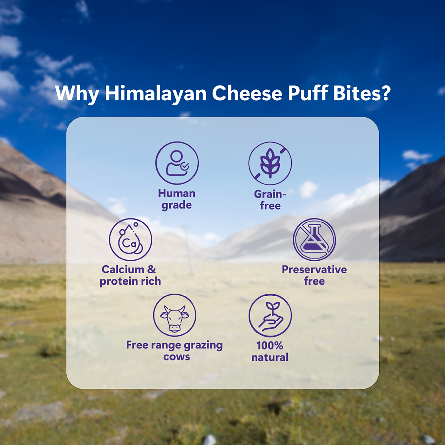 Himalayan Cheese Puff Bites for Dogs