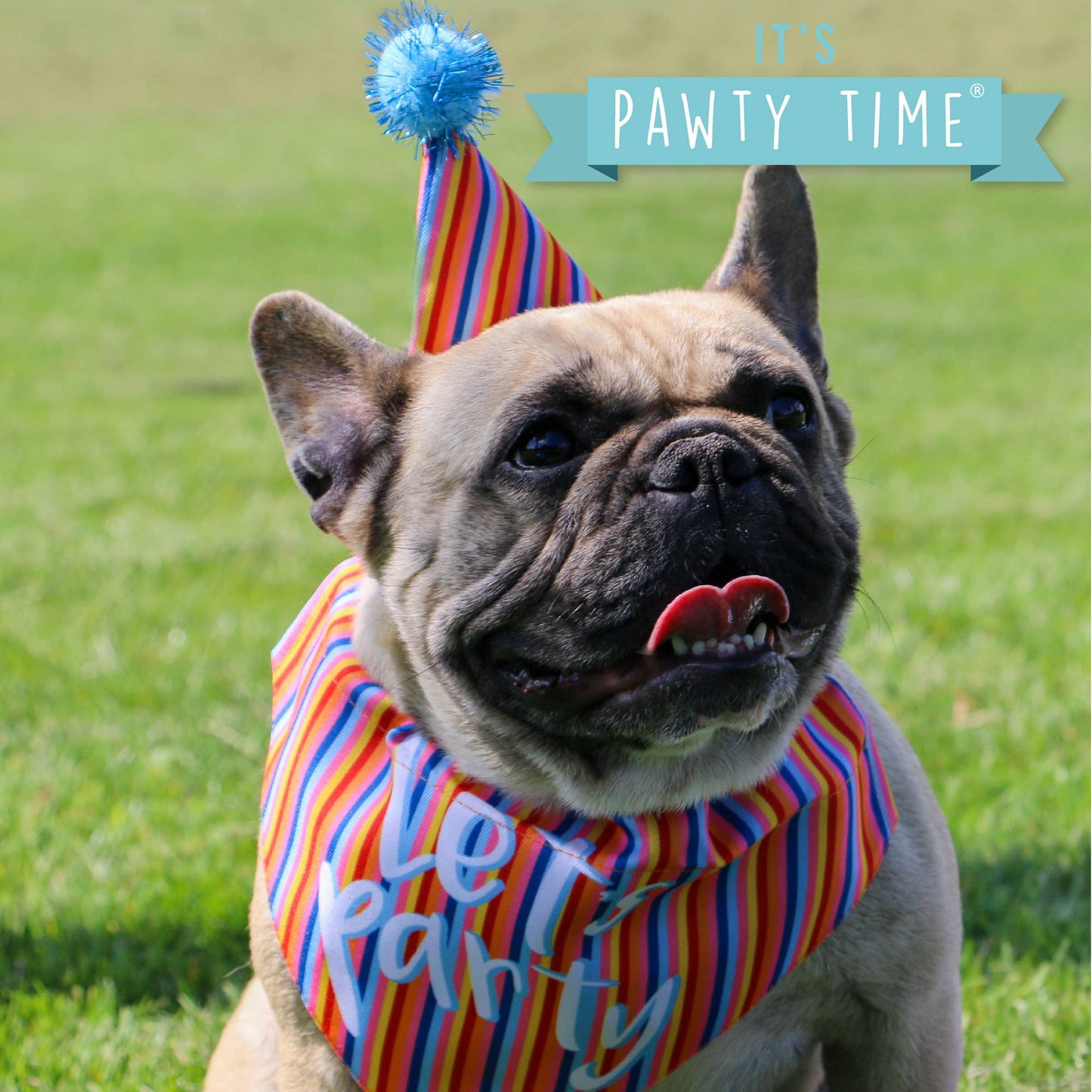 Pawty Time Sprinkle Hat and Bandana Set ( M/L)