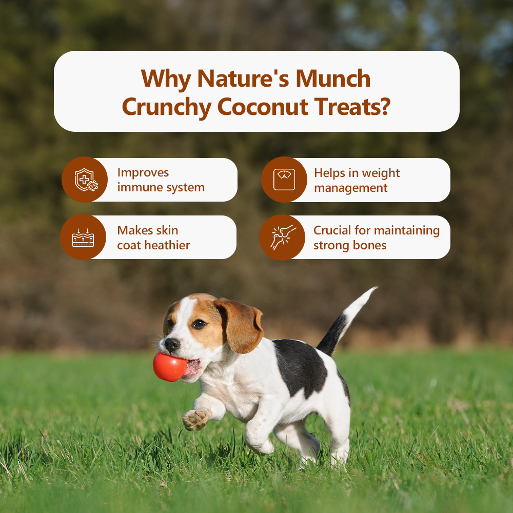 Pawfect Vegan Treats: Coconut