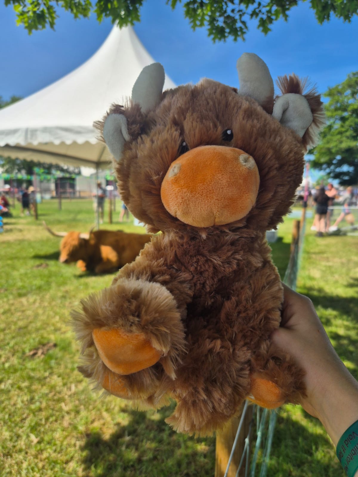 Petface Plush Highland Cow Toy