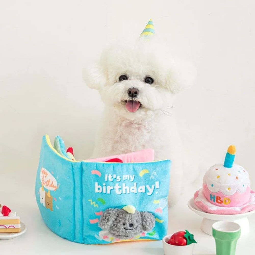 My Birthday Box Toy