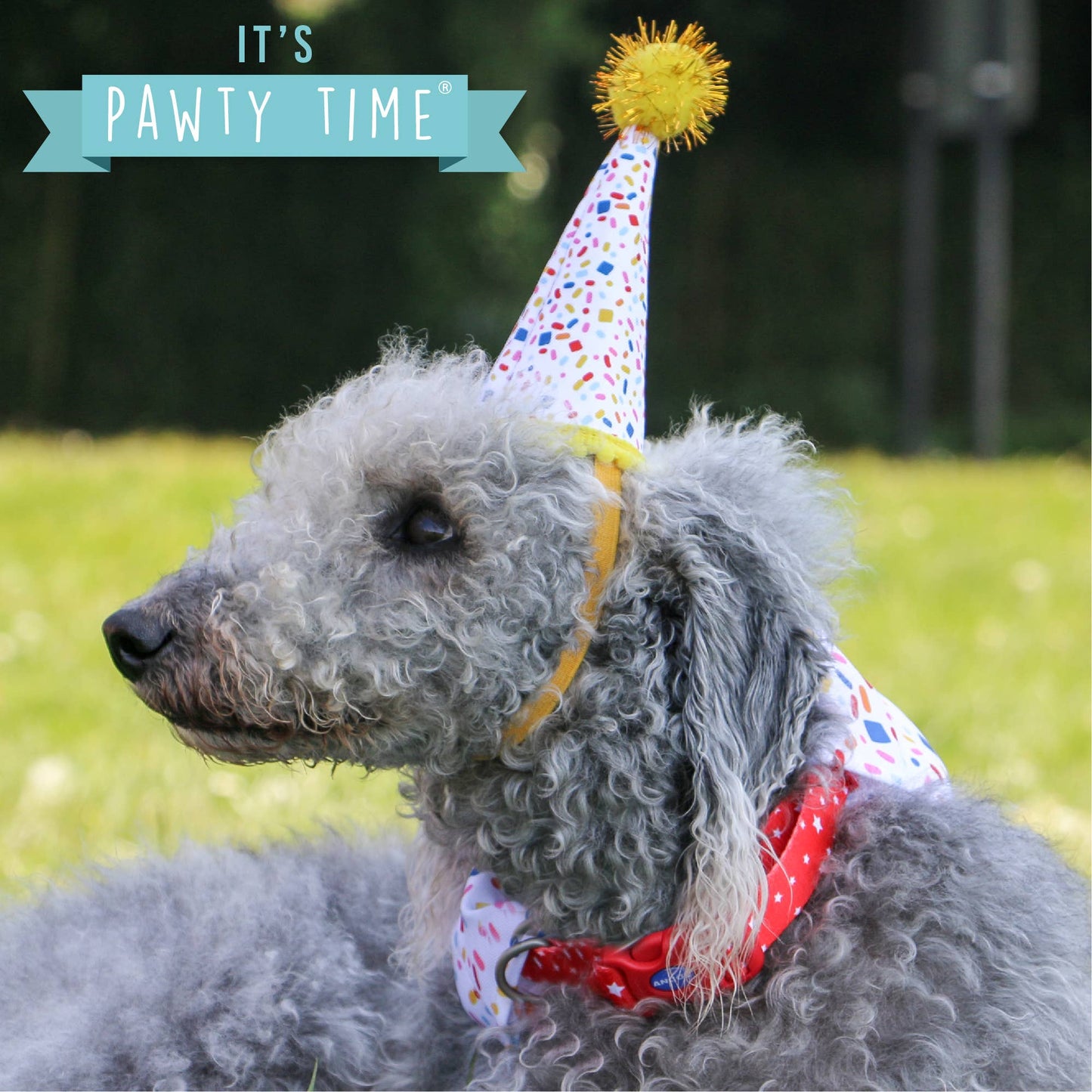 Pawty Time Sprinkle Hat and Bandana Set ( M/L)