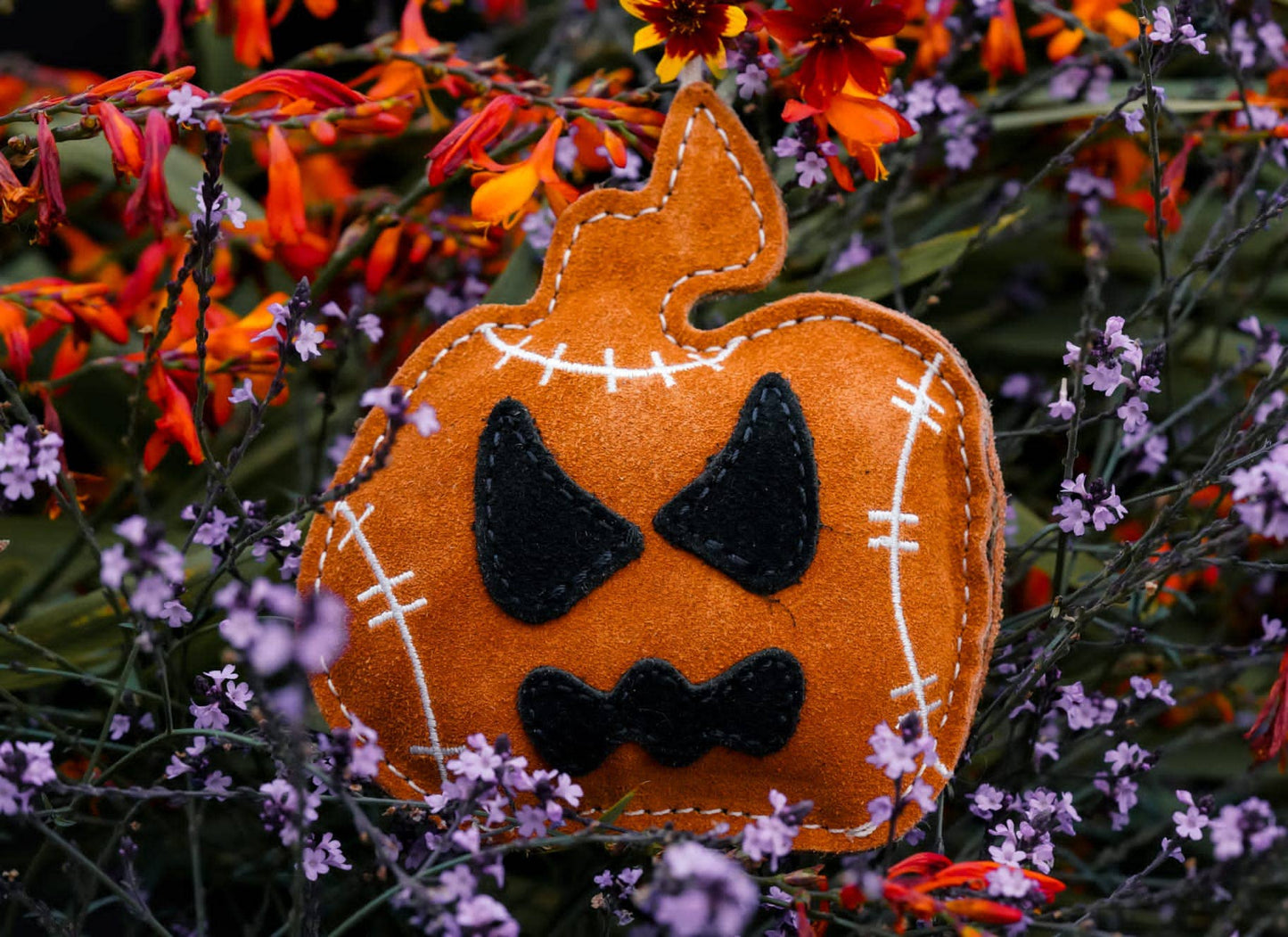 JACK THE LAD LANTERN Pumpkin shaped small breed Eco Dog Toy