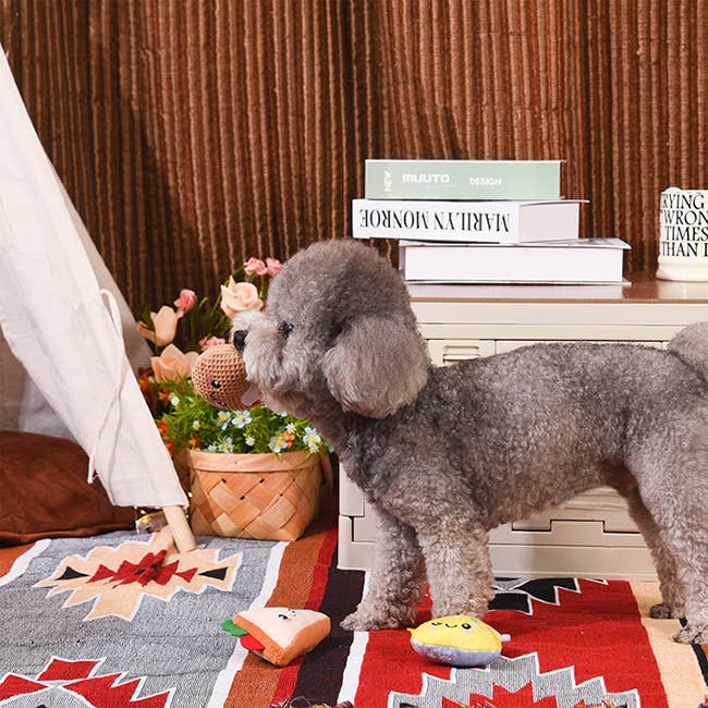 HugSmart Pet - Picnic Time | Yappy Yum - Plush Toy