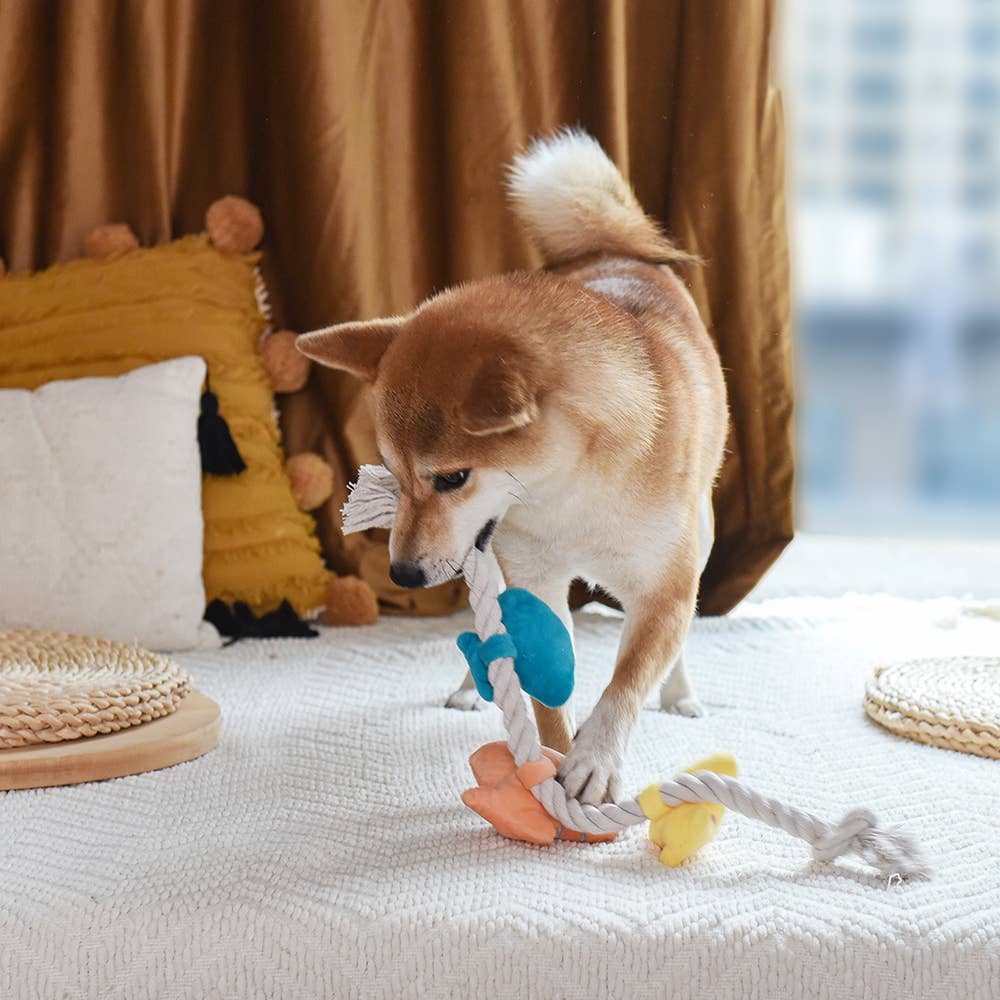 HugSmart Pet - Pirate Pups | Shell Necklace - Rope Toy