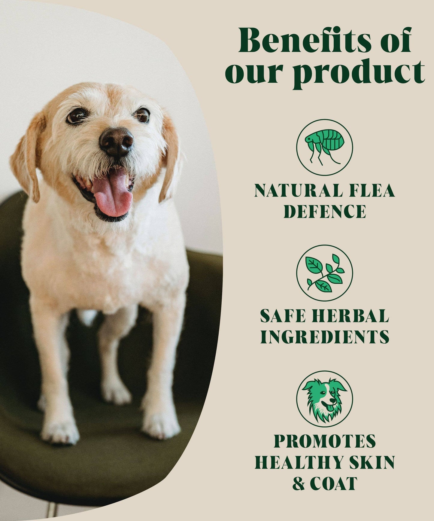 Hackney Dog House | Natural Flea and Tick Powder for Dogs | Herbal Repellent