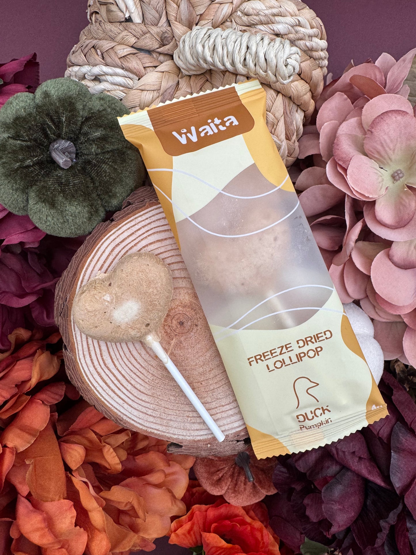 Waita Duck & Pumpkin Lollipops