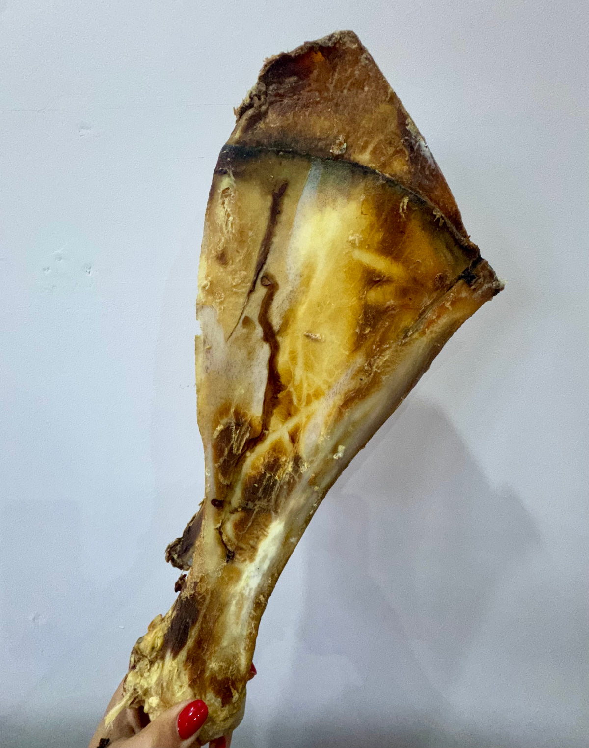 Giant Beef Shoulder with Moon Bone