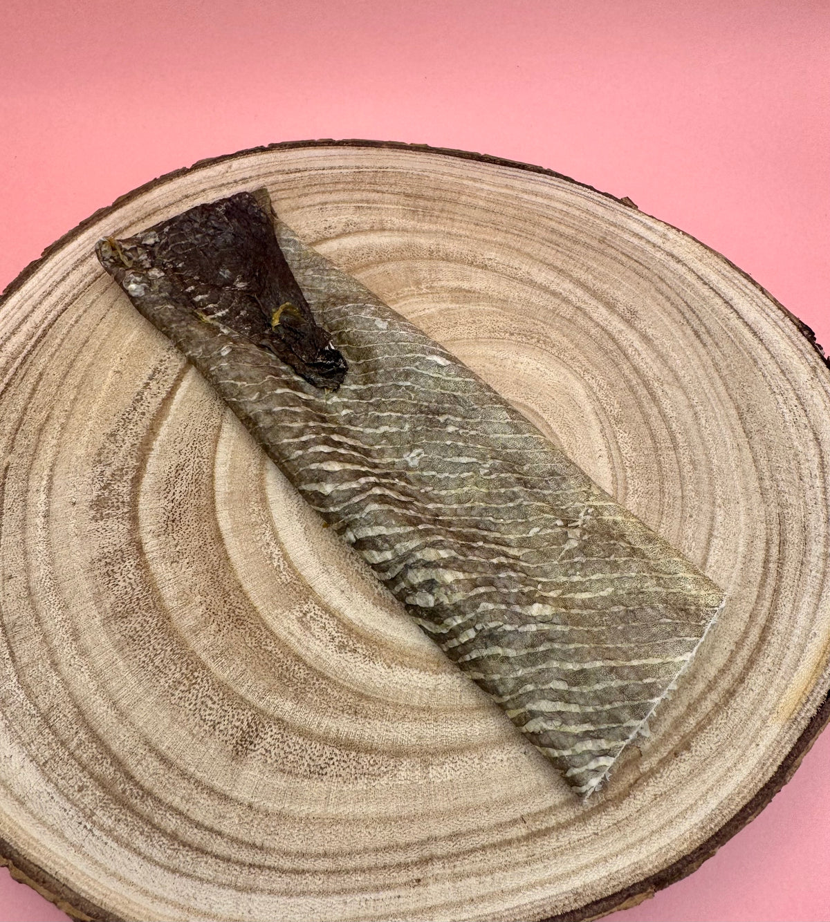 Fish Skin Flatties
