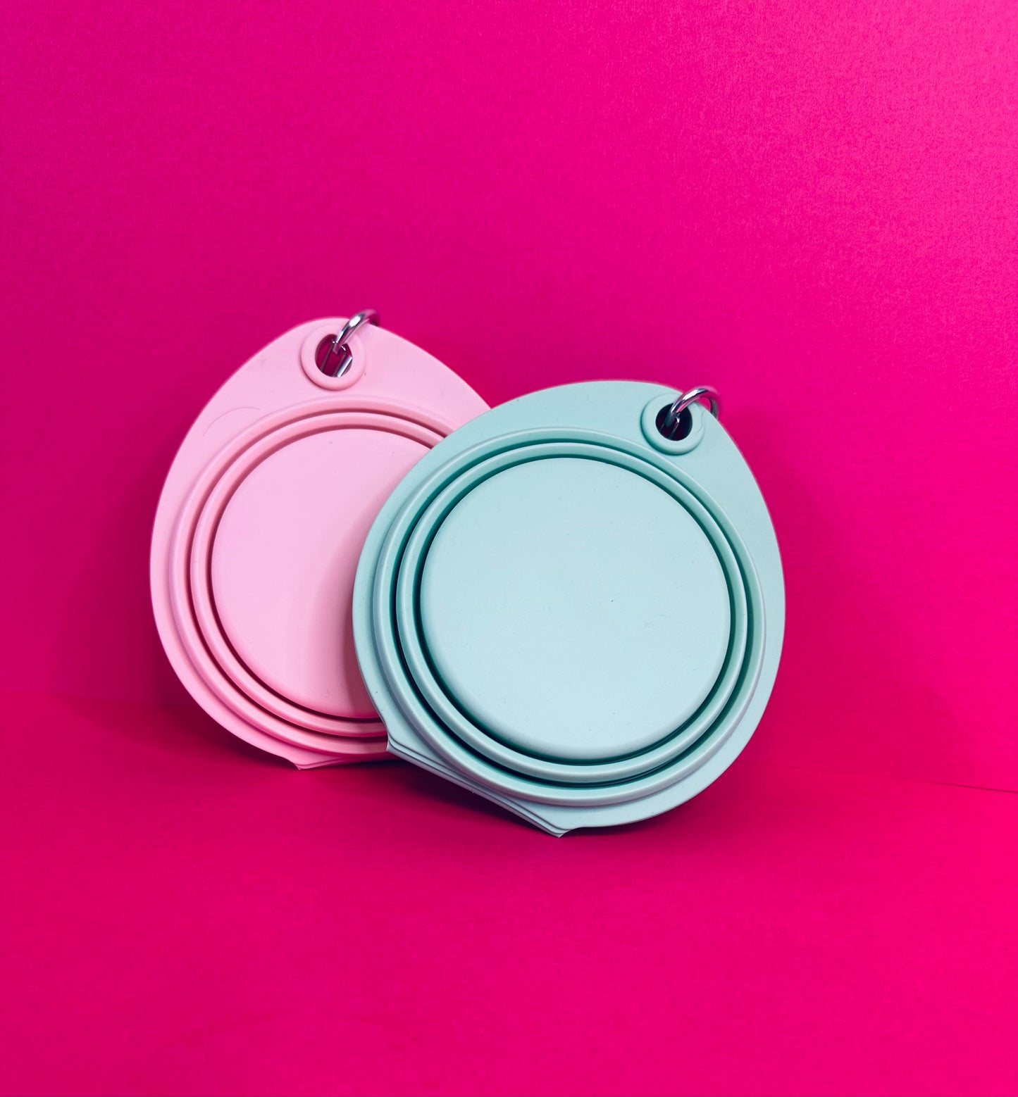 Travel Food & Water Bowl