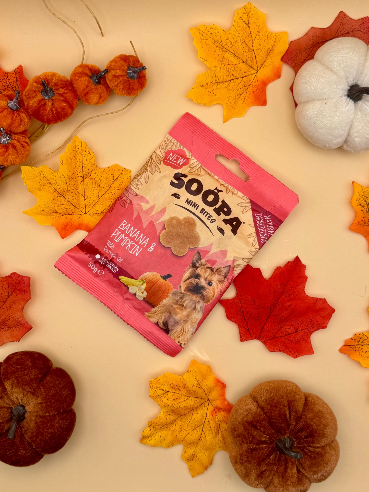 Banana & Pumpkin Mini Bites
