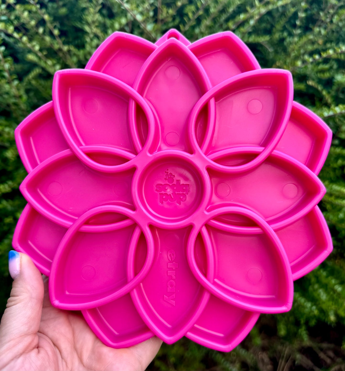Mandala Enrichment Tray