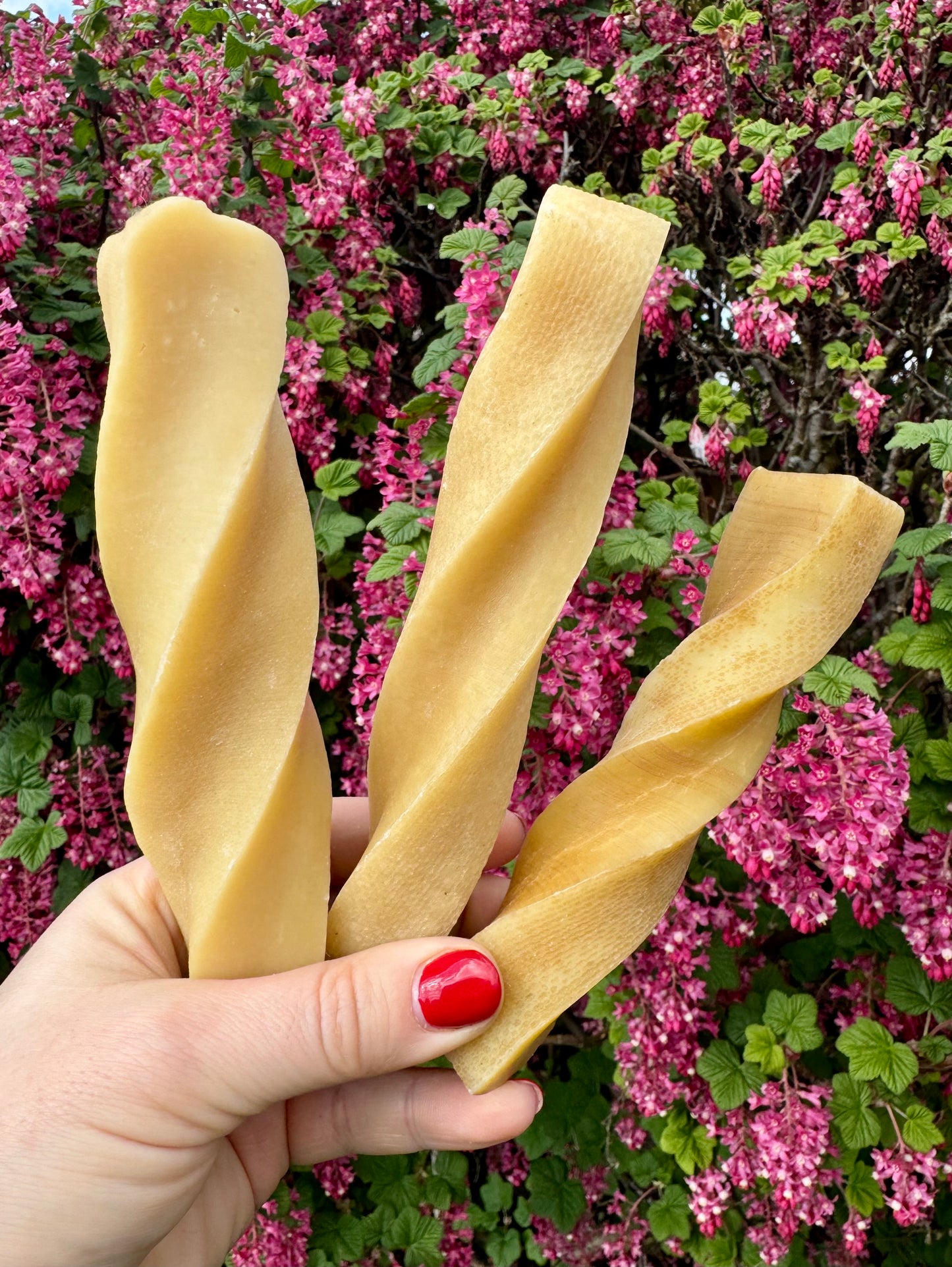 Twisted Yaks | 4 Sizes