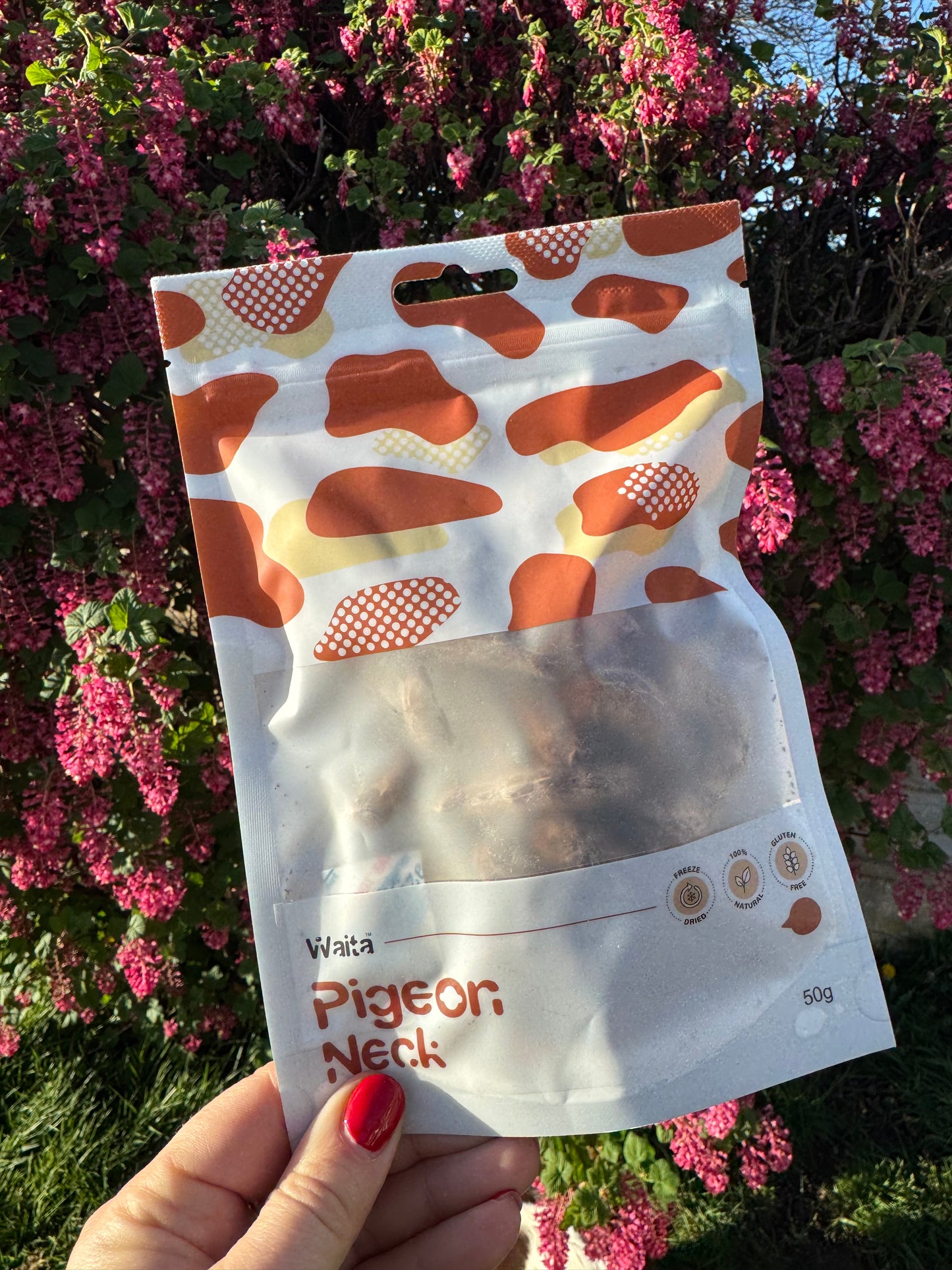 Waita Freeze-Dried Pigeon Neck