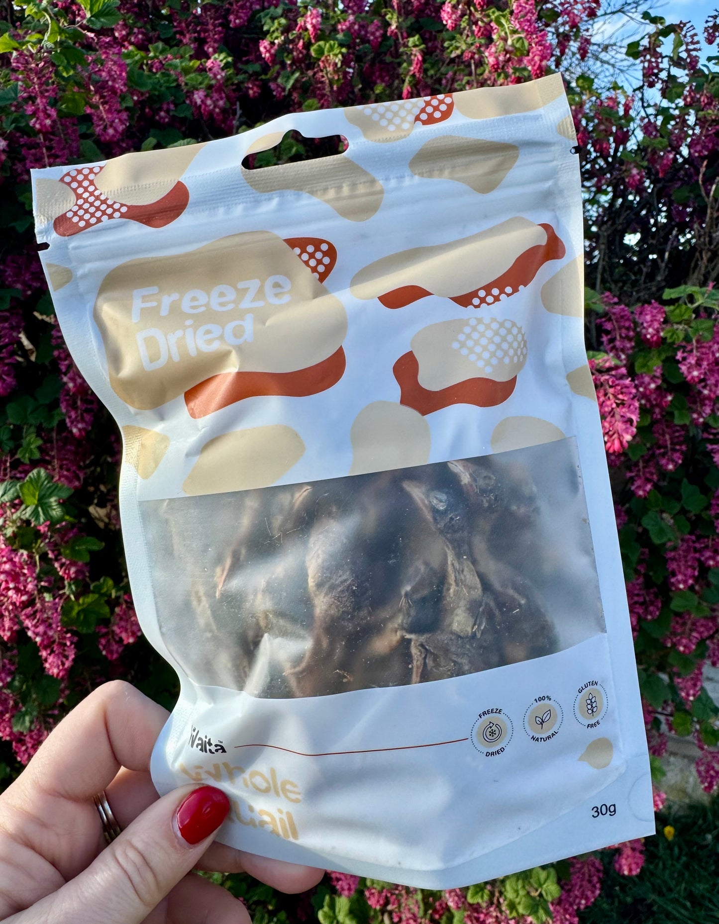 Waita Freeze-Dried Quail