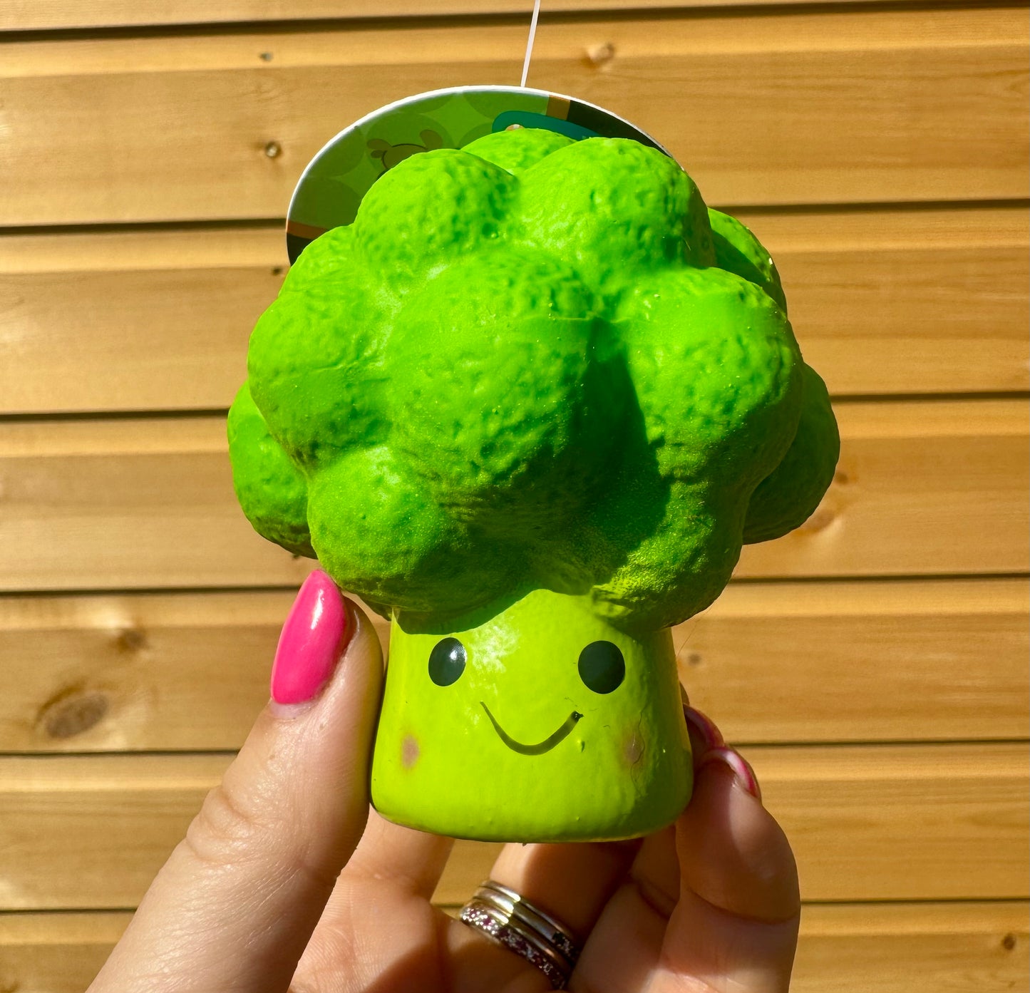 Petface Foodie Faces Broccoli
