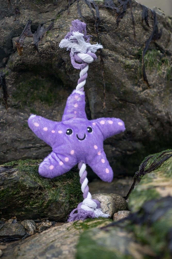 Samantha Starfish Toy