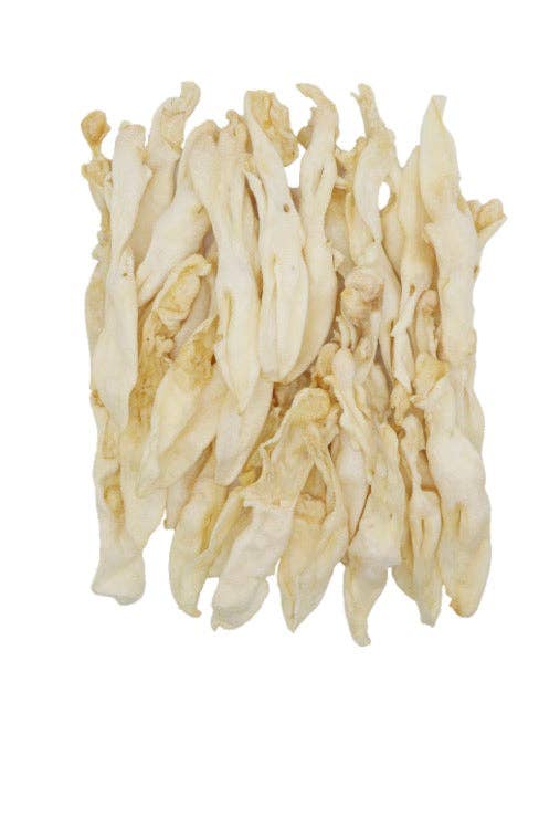 Big white rabbit ears no fur
