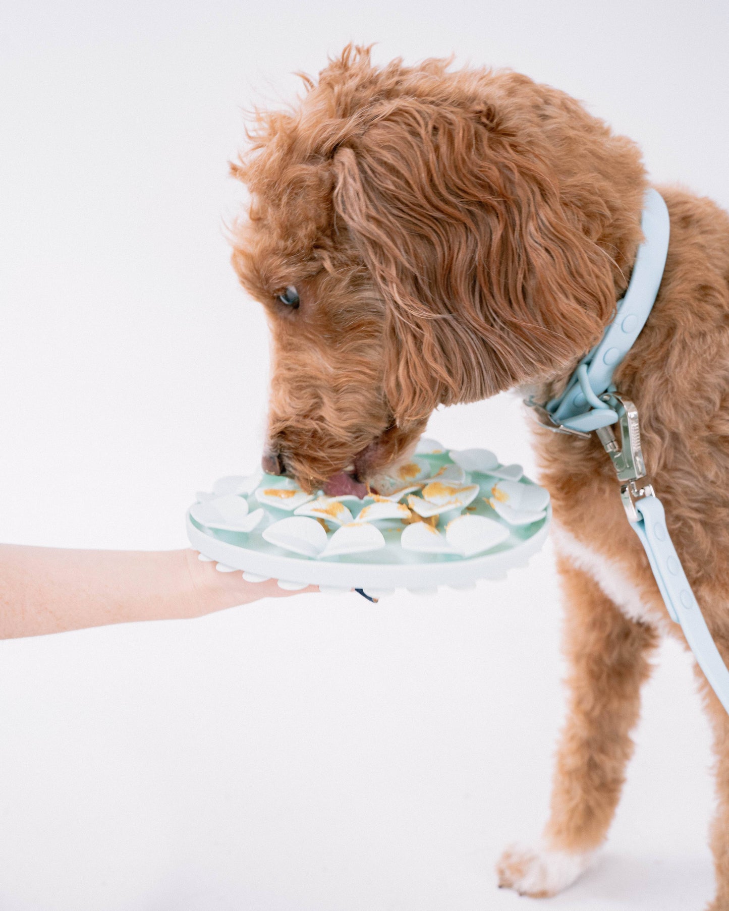 Dexy Paws Enrichment Snuffle Mat
