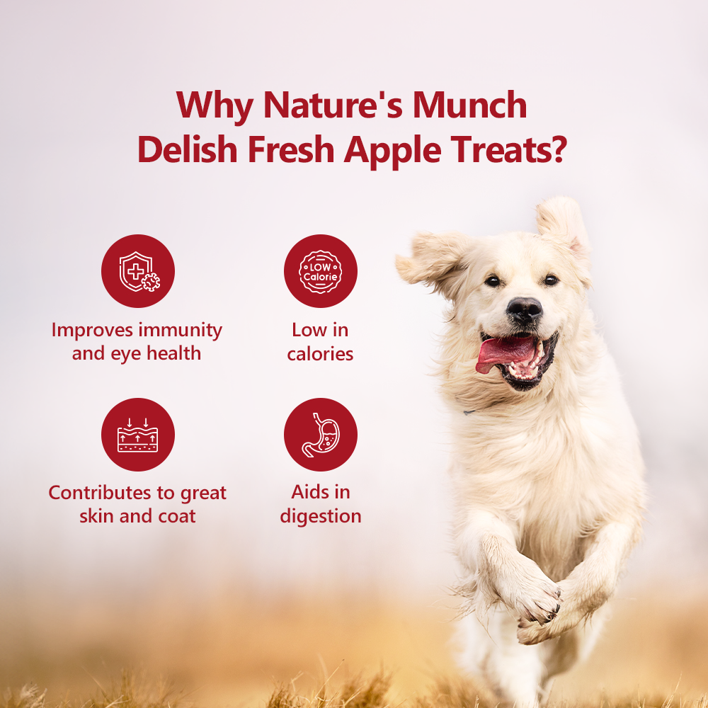 Pawfect Nature's Munch Freeze Dried Apple Treat