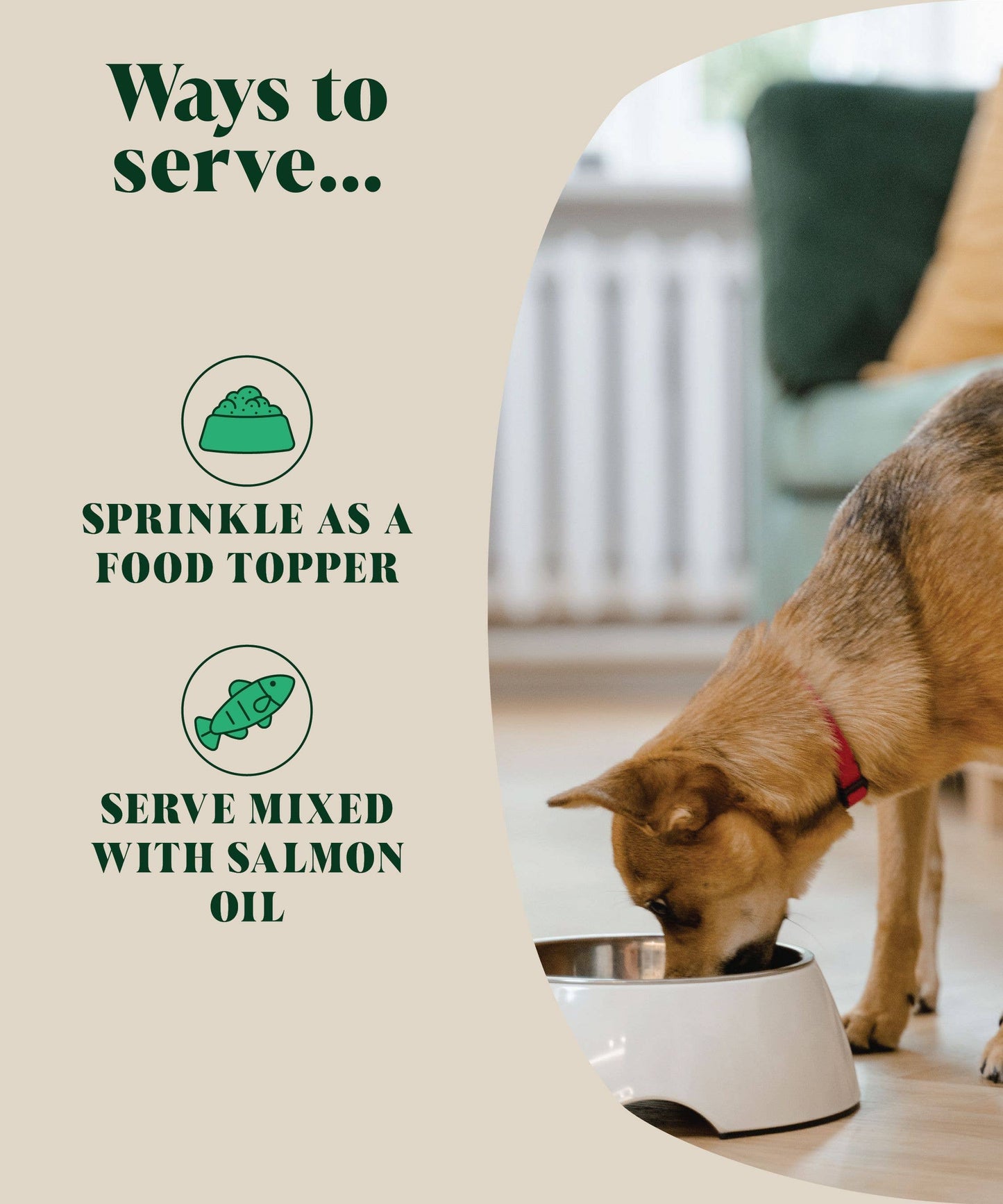 Hackney Dog House | Natural Flea and Tick Powder for Dogs | Herbal Repellent