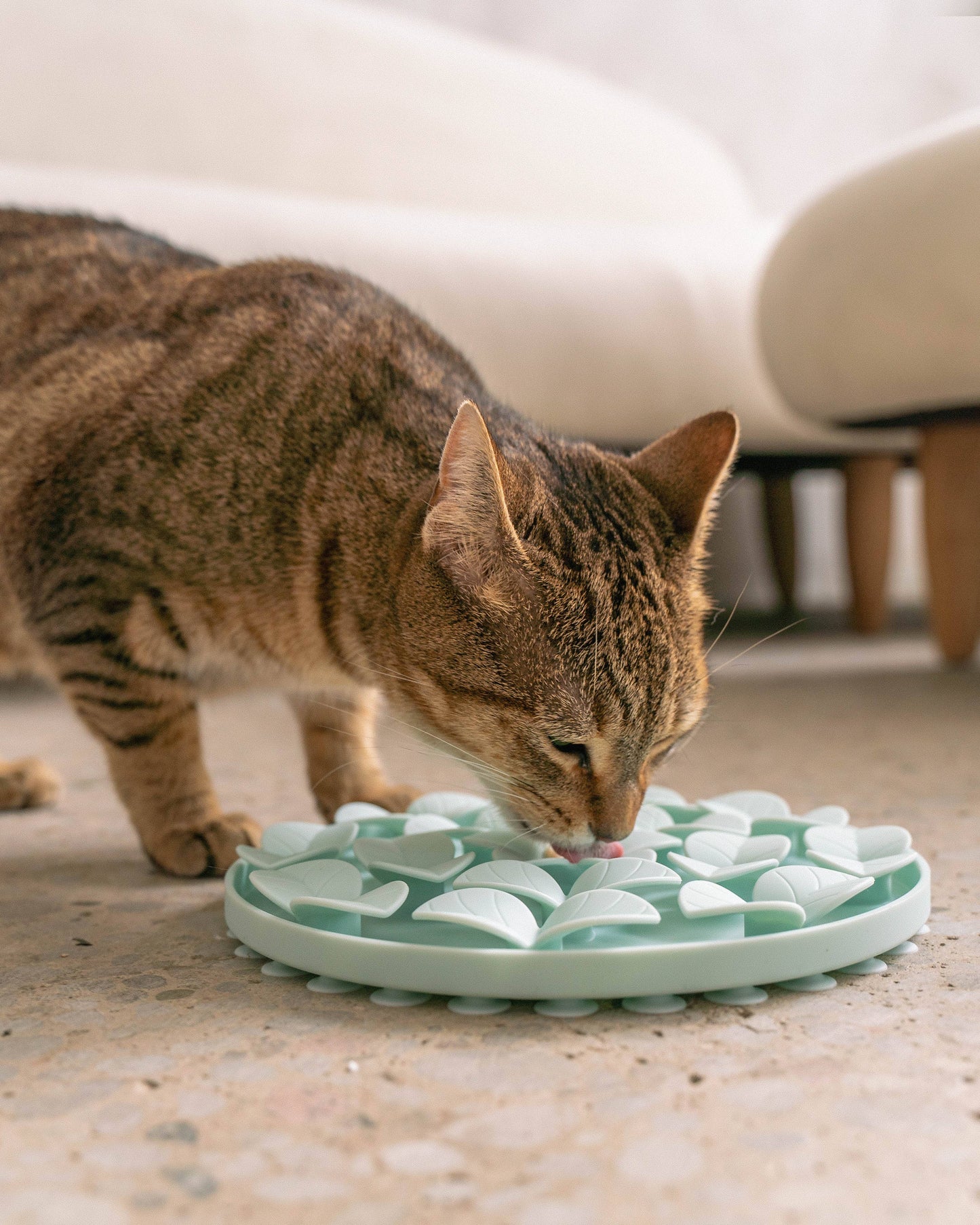 Dexy Paws Enrichment Snuffle Mat