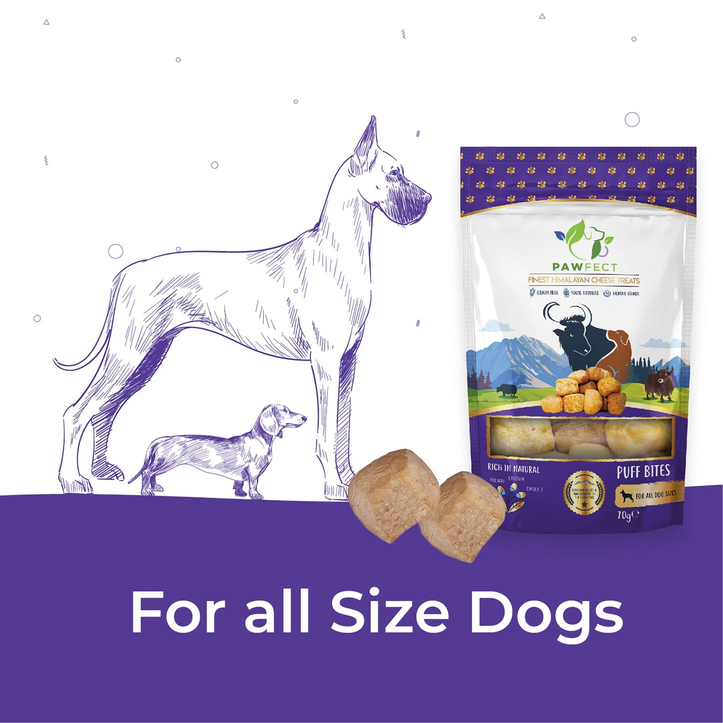 Himalayan Cheese Puff Bites for Dogs