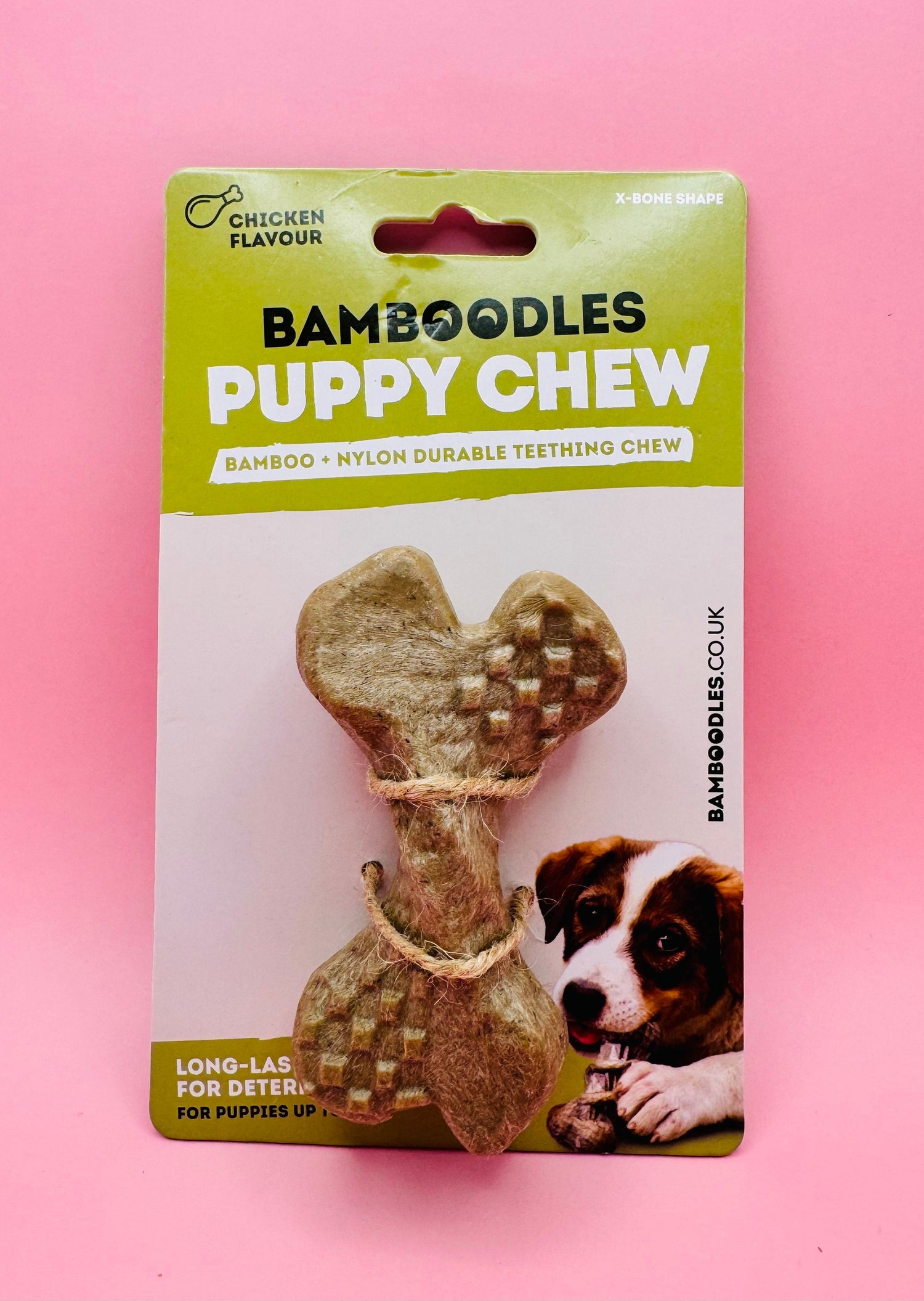 Puppies