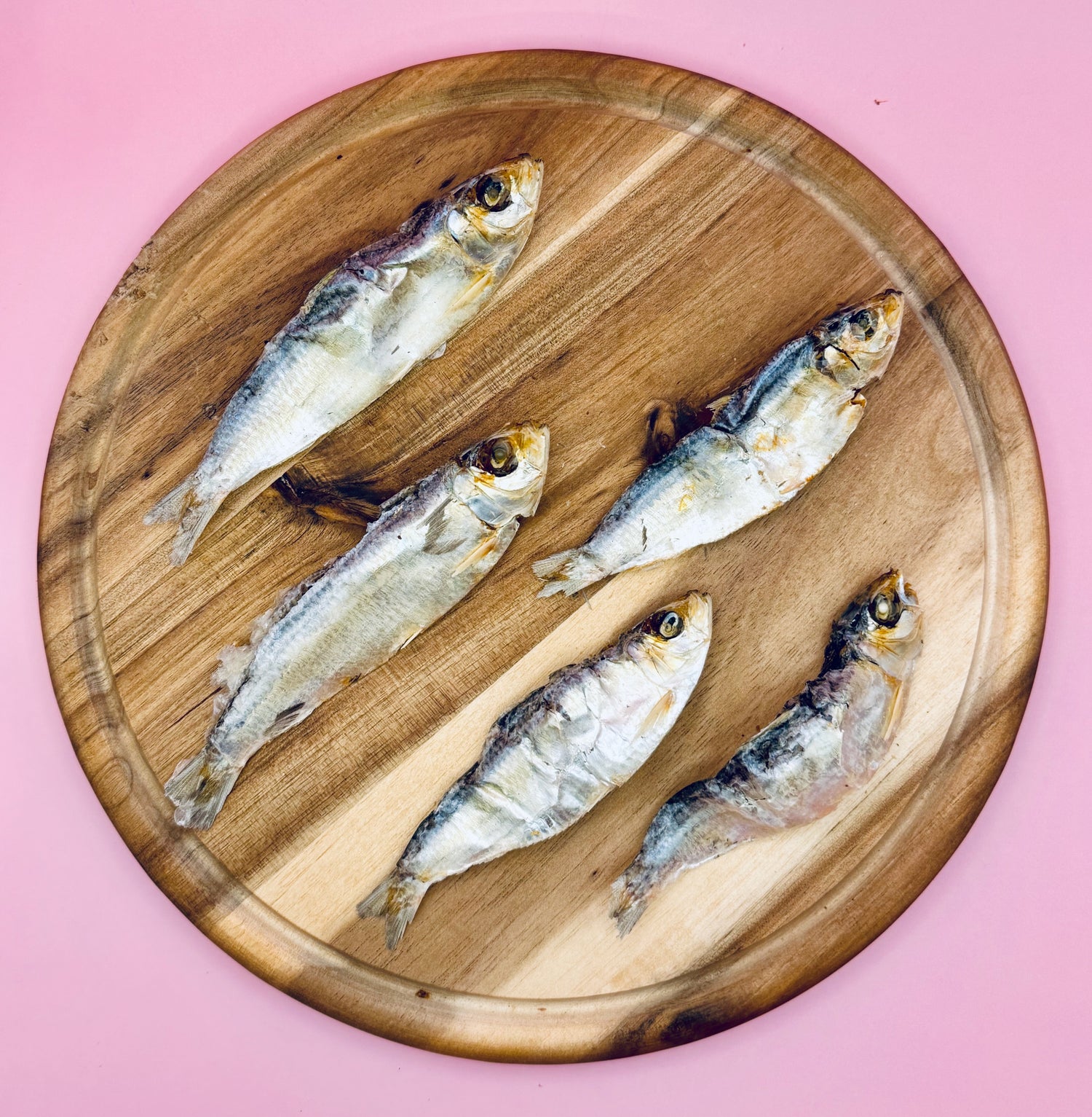 Fishy Treats
