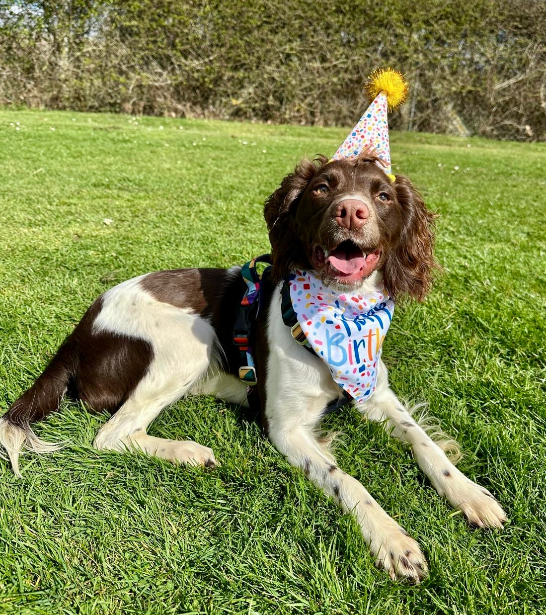 Birthday