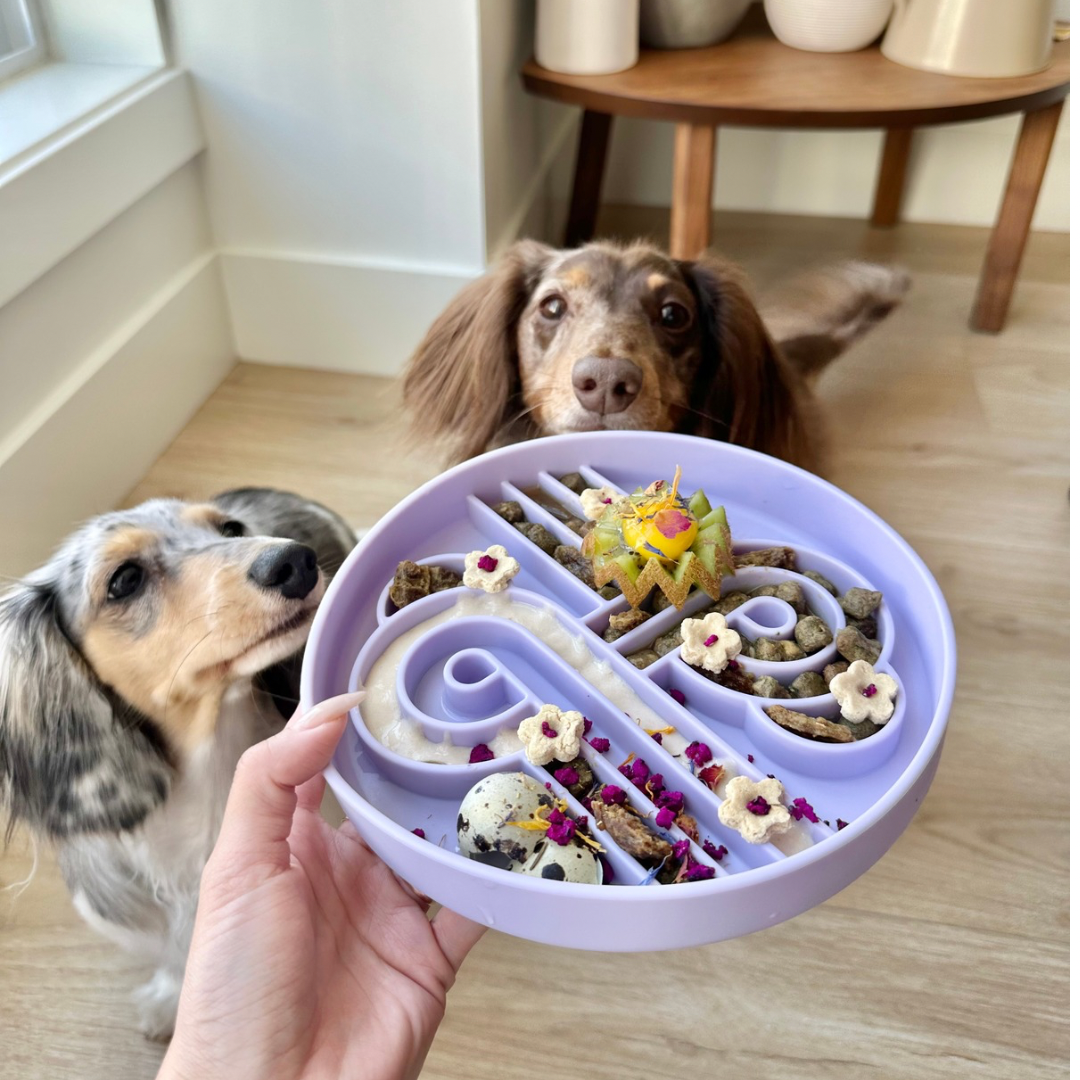 Ollie B Good | Zoomies slow feeder bowl | fig