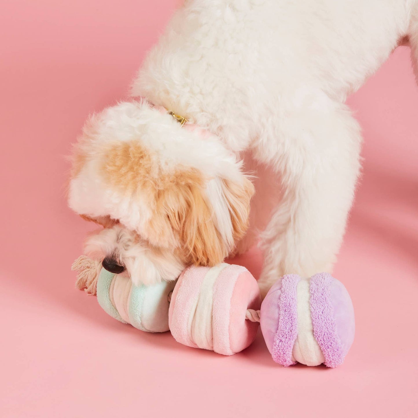 Macarons Snuffle Toy