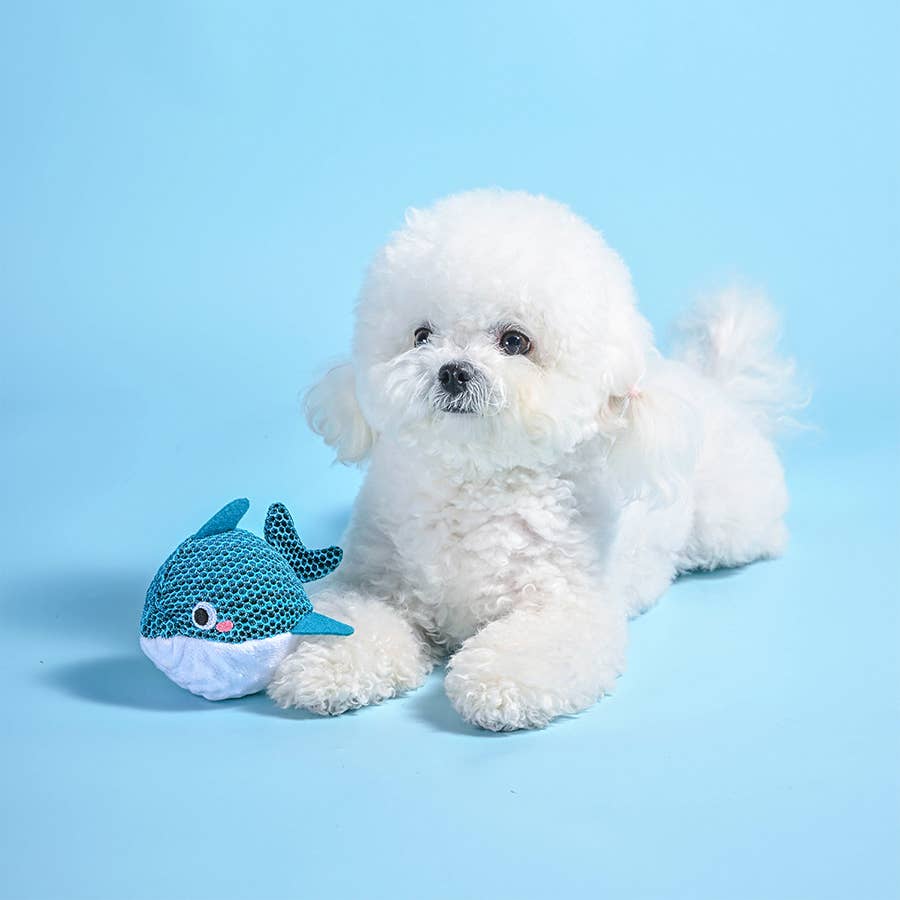 HugSmart Pet - Ocean Pals | Dolphin - Dog Ball Toy