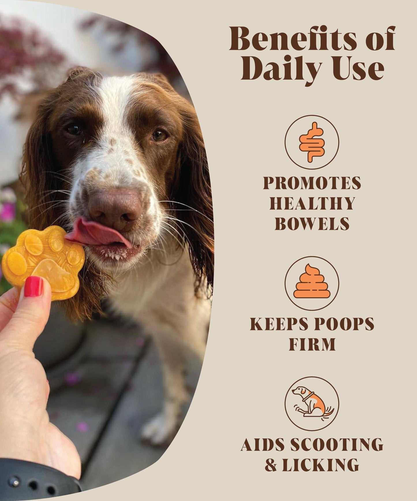 Hackney Dog House Pumpkin Powder For Dogs | 30 Servings