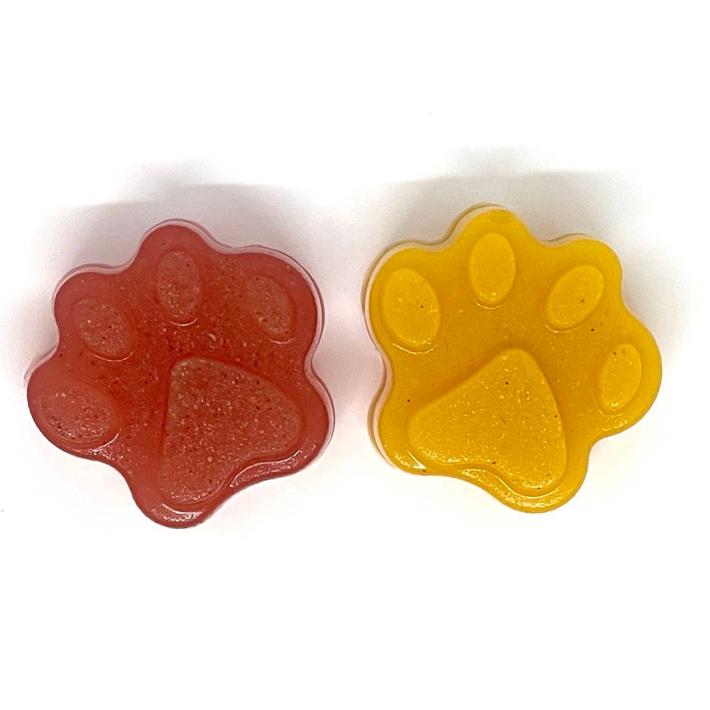 Dogtastic Jelly Shots Silicone Mold - Paw Shape