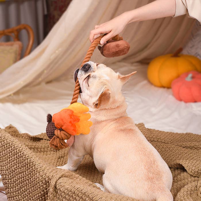 HugSmart Pet - Autumn Acorn - Dog Rope Toy