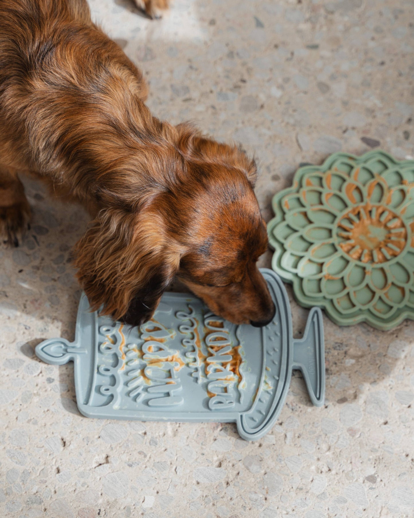 Dexy Paws Barkday Bash Enrichment Lick Mat