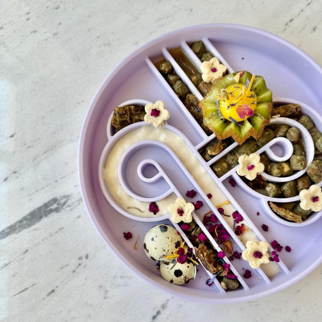 Ollie B Good | Zoomies slow feeder bowl | fig