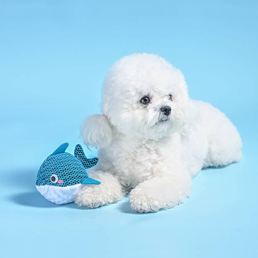HugSmart Pet - Ocean Pals | Dolphin - Dog Ball Toy