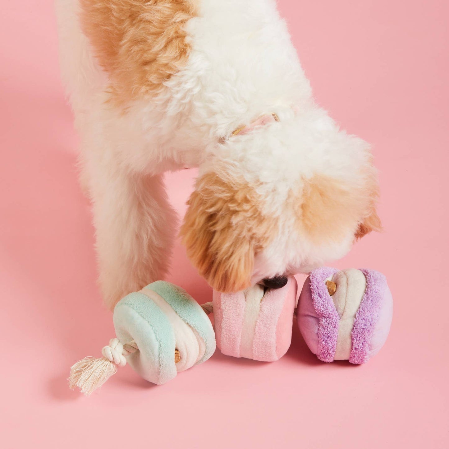 Macarons Snuffle Toy