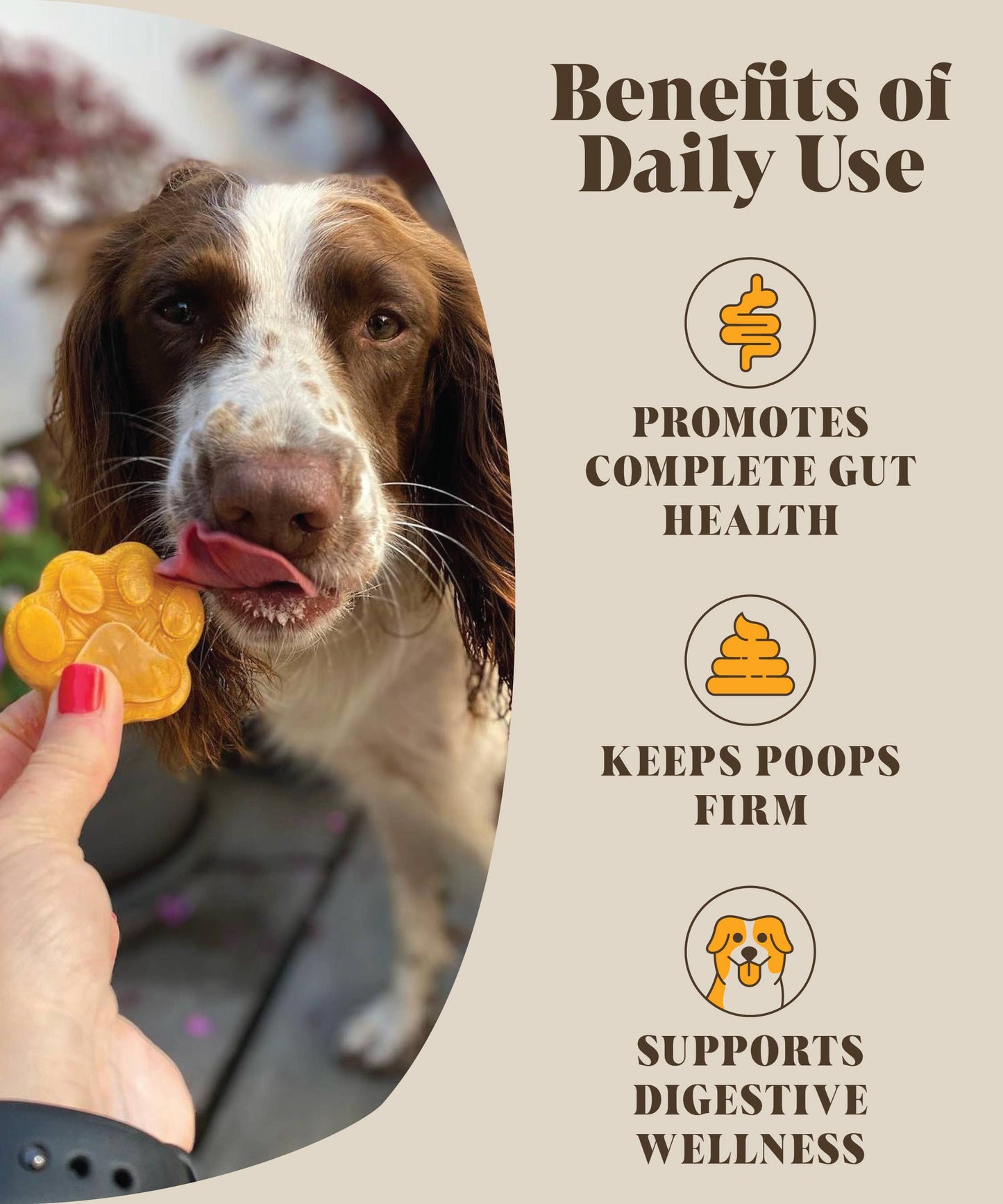 Hackney Dog House Pumpkin & Probiotics For Dogs | Real Pumpkin Powder + Probiotic