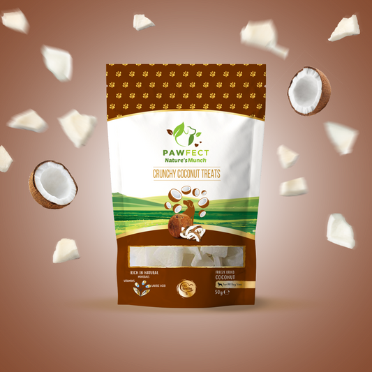 Pawfect Vegan Treats: Coconut