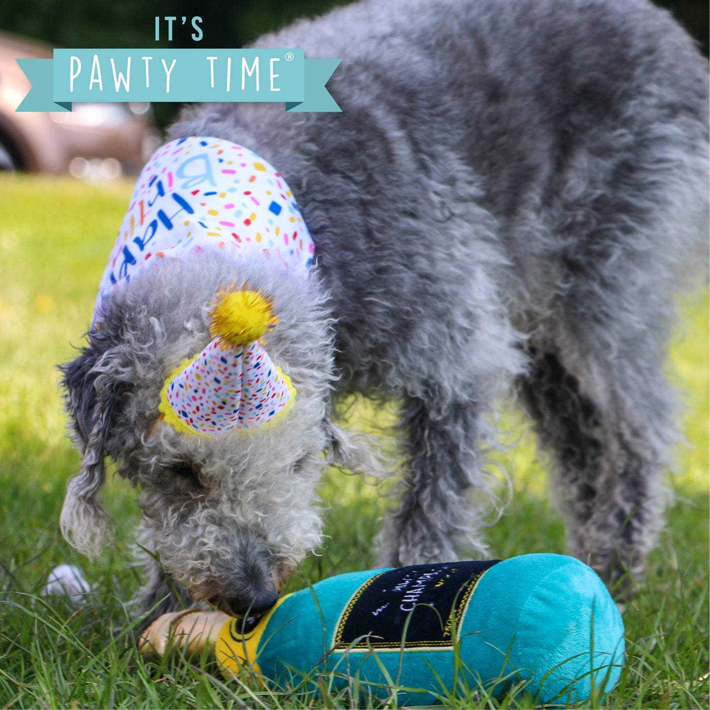 Pawty Time Champagne Dog Toy