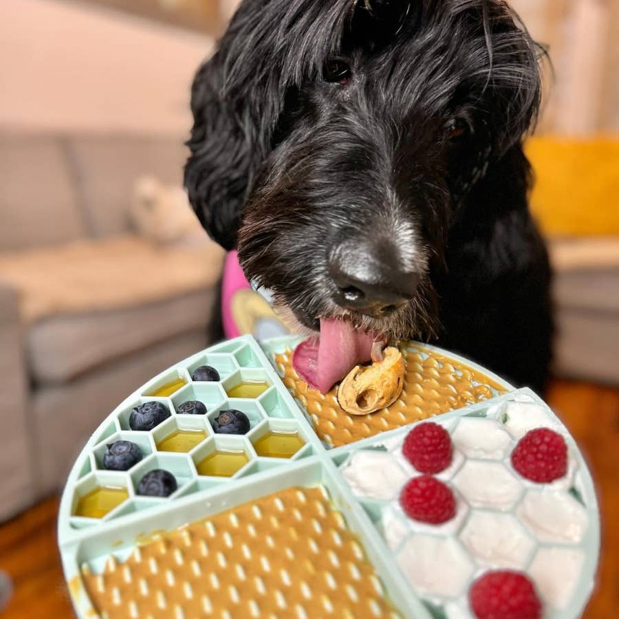 Bark Bistro Buddy Budder Peanut Butter - Beef Broth
