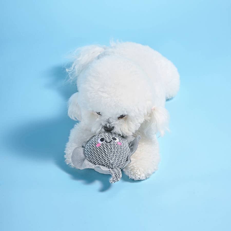 HugSmart Pet - Ocean Pals | Stingray - Dog Ball Toy