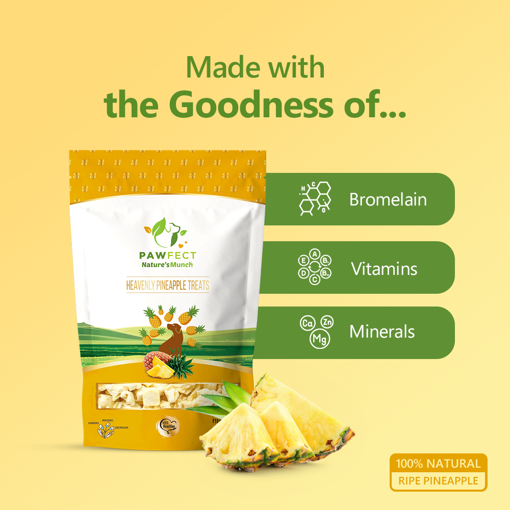 Pawfect Nature's Munch Freeze Dried Tangy Pineapple Treats
