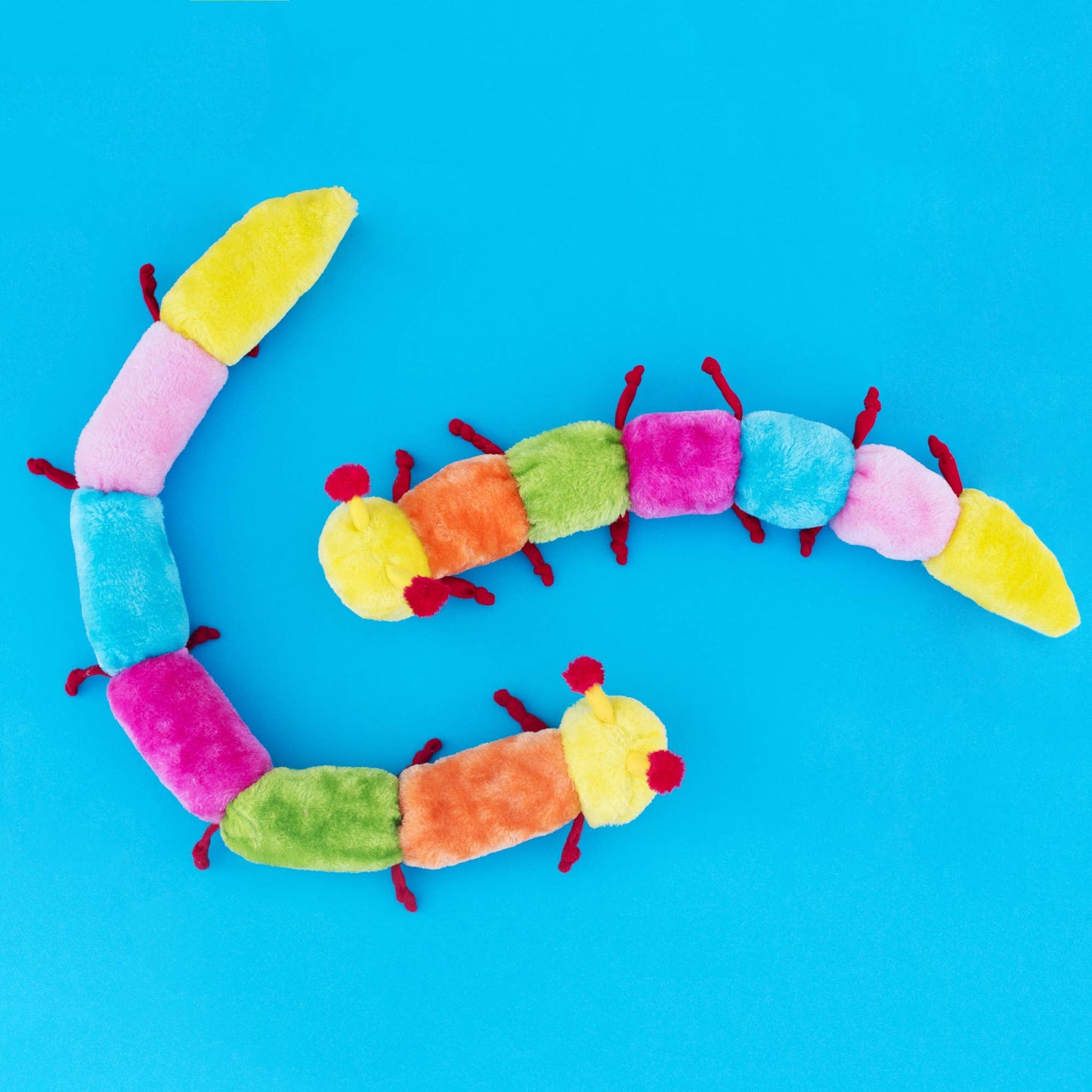 Caterpillar - Deluxe Dog Toy