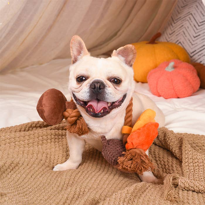 HugSmart Pet - Autumn Acorn - Dog Rope Toy